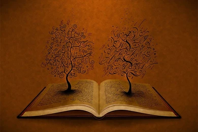 Unusual Wallpapers For Desktop   Wallpapers Cave