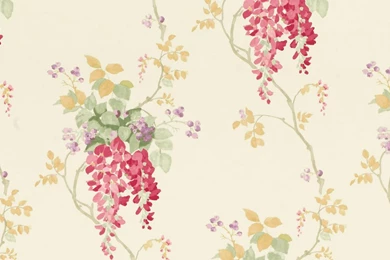 Wisteria Cranberry Floral Wallpapers At Laura Ashley
