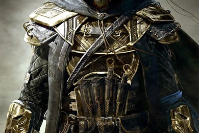 The Elder Scrolls iPhone 5 Wallpapers (640x1136)