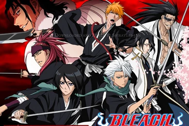 The End Of Bleach Anime? Bleach TV Series Cancelled!?