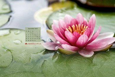 Free Desktop Wallpapers