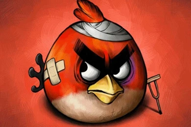 Angry Birds. Angry Bird Wallpapers Mobile Hd. 533x800px