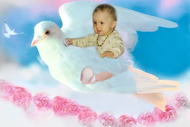 Animated Images Of Babies   HD Wallpapers Pretty