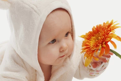 Free Download HD Wallpapers, Pictures, Images, Backgrounds: Cute ...