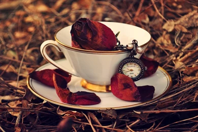 Cup With Rose And Vintage Watch
