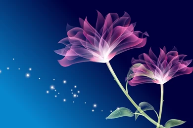 3d Flower Wallpapers Collection (33+)