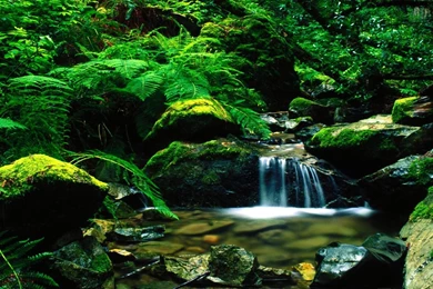 Wallpapers Most Beautiful Landscape Themes Free Picture In Album ...