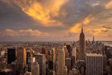 Landscape New York City   (