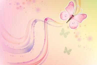 Butterfly Wallpaper Backgrounds   HD Wallpapers Pretty