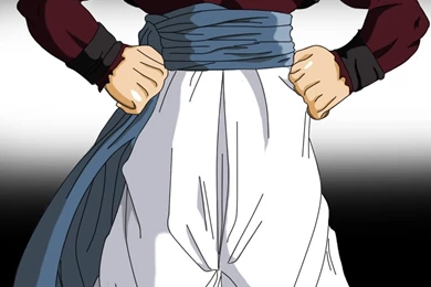 Gogeta SSJ4 By ShynTheTruth On DeviantArt