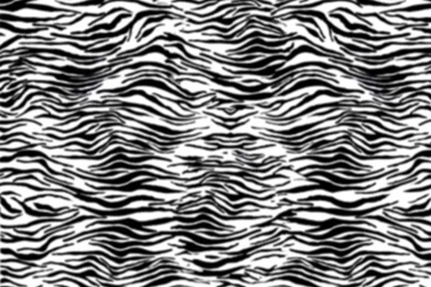 Black And White Animal Print Backgrounds