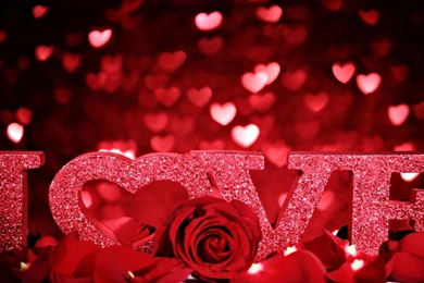 Download Pretty Desktop Wallpapers   Images   Tbwnz.com