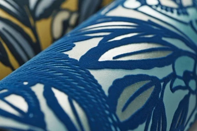 Tailfeatherroll 24412d526b04f5c07c9c7dcd2e625322.jpg