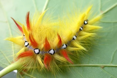 Celebrity Oh Celebrities: September 2010