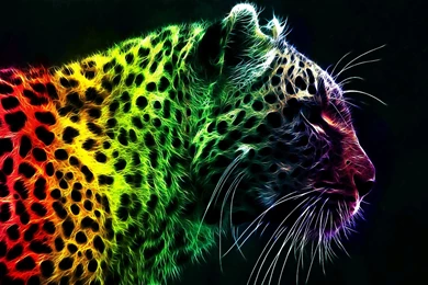 Animal Print Backgrounds For Desktop Posted On Monday, June 9th ...