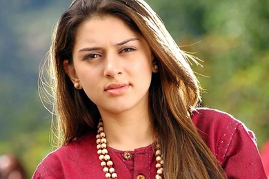 Hansika Motwani Pretty HD Wallpapers And Images