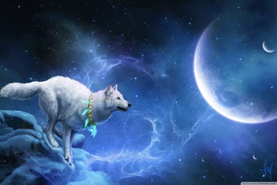Magic White Wolf HD Desktop Wallpapers : High Definition : Mobile