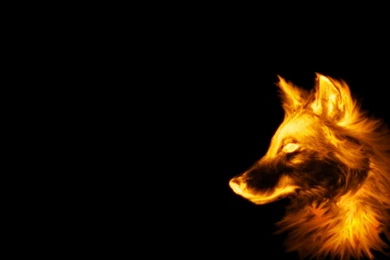 Desktop Cool Wolf Wallpapers 3d Hd Pictures.
