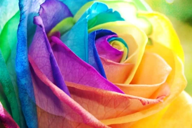 20+ New iPhone 6 & 6S Wallpapers & Backgrounds In HD Quality