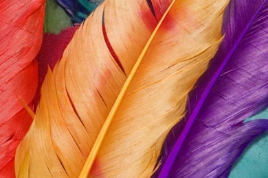 Colorful Wallpapers For iPhone 4 07