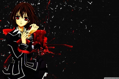 Download Yuki Kuran Vampire Knight Wallpapers 1920x1080