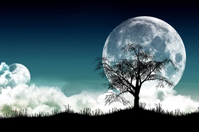 Blissful Landscape Photo Manipulation Landscape Manipulation ...