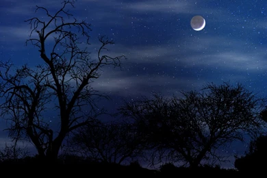 Wallpapers Night Scene By Norif Customize.org