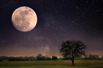 Moon Night Scene Wallpapers 4K (4096x2160) Resolution Wallpapers ...