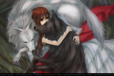 Vampire Knight Wallpapers