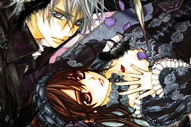 96 Vampire Knight HD Wallpapers