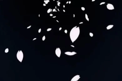 Vampire Knight: Fangs And Roses   MyAnimeList.net