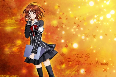 96 Vampire Knight HD Wallpapers