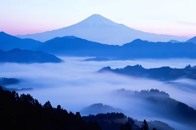 Windows Vista Starter Wallpapers Download