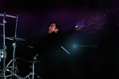 Shannon Leto Wallpapers By Lovelives4ever On DeviantArt