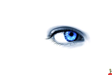 Wallpapers For Desktop With Video, Wallpaper, Background, Halo+ ...