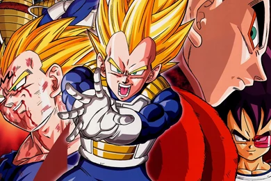 Dragon Ball Z   Vegeta HD Desktop Wallpapers : Widescreen : High ...