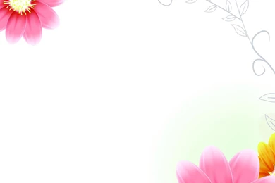 Poppy Flower Wallpapers Free Download Wallpapers Hd For Desktop In ...