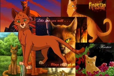 Browsing Wallpapers On DeviantArt