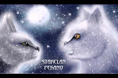 PeKaNo   StarClan [Warrior Cats Song]   YouTube