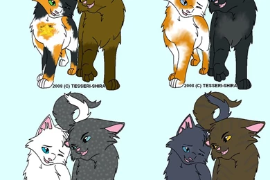 Pictures Of Warriors Cats   HD Wallpapers And Pictures