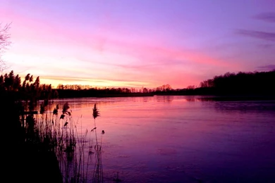 Pink Skies Wallpapers