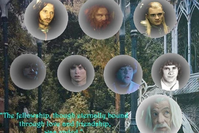 Fellowship Of The Ring   The Nine Walkers Wallpapers (22588605 ...