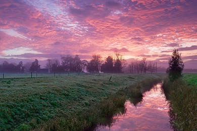 2560x1440 Cold Morning Pink Sky Desktop PC And Mac Wallpapers