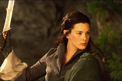 The Lord Of The Rings: The Fellowship Of The Ring Computer ...