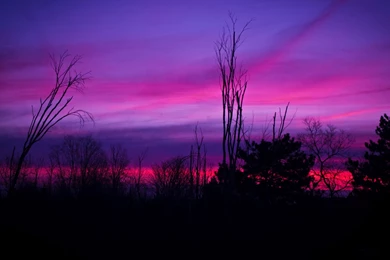 Amazing Blue And Pink Sky, Cloud, Tree, Nature, 3840x2160 HD ...