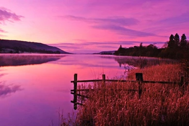 Pink Sky Pink Water Pink Sunset
