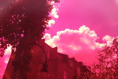 Tristan Rusty And Pink Sky Wallpapers