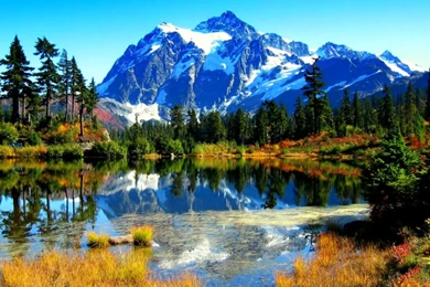 Scenic Nature Wallpapers