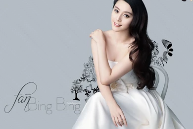 Excellent Fan Bingbing Wallpapers