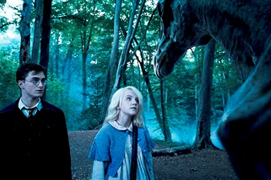 Luna Lovegood Wallpapers   Luna Lovegood Wallpapers (25518040)   Fanpop